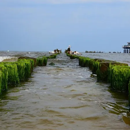 Ostseepark Waterfront-karavelle 아파트 제바트헤링스도르프